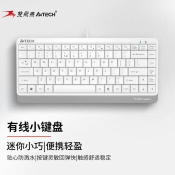 双飞燕（A4TECH）FK11飞时代有线小键盘薄膜办公打字用
